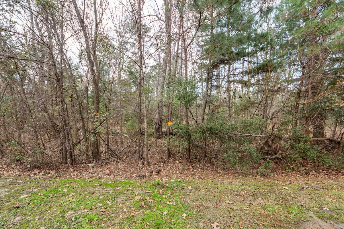 A serene exterior view showcasing a tree-lined pathway surrounded by lush undergrowth. The natural setting encourages exploration and hints at both relaxation and outdoor activity close to the property.
